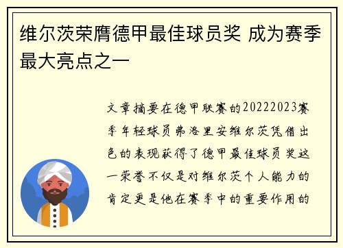 维尔茨荣膺德甲最佳球员奖 成为赛季最大亮点之一